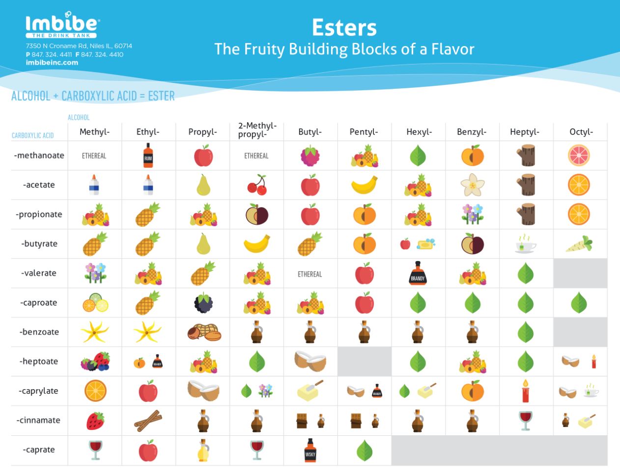 Esters The Fruity Building Blocks of Flavor Imbibe