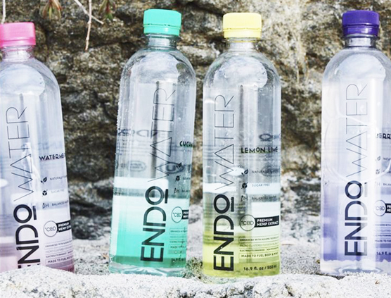 endo-water
