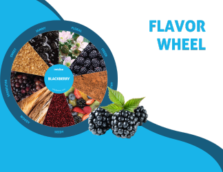 blackberry flavor wheel