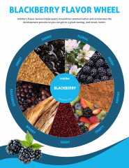 blackberry flavor wheel