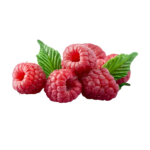 raspberry