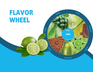 lime flavor wheel depicting facets of lime flavor