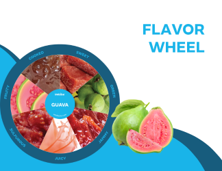 guava flavor wheel with a photograph of descriptors on each peice