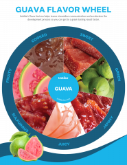 guava flavor wheel with photographs of descriptors in each pie piece of the wheel