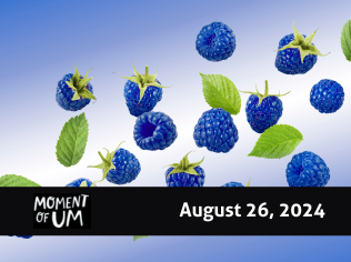 moment of um podcast - blue raspberry